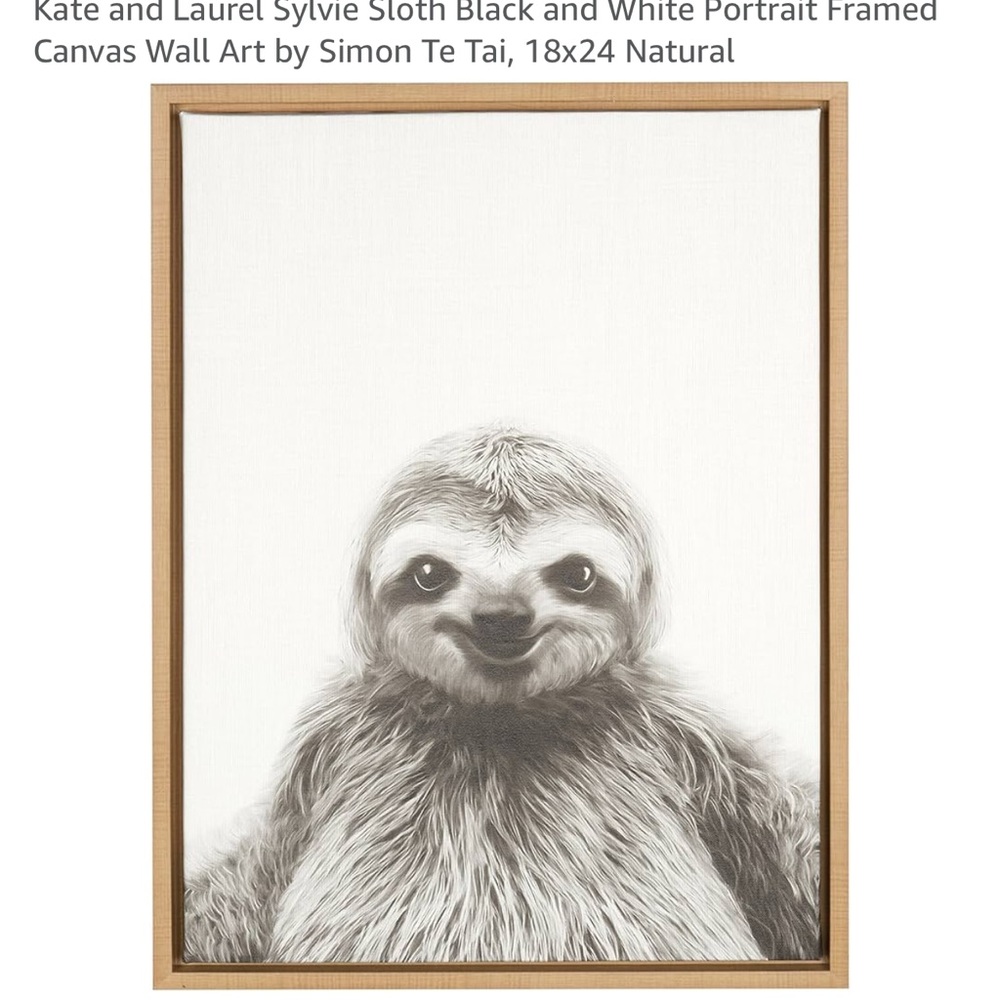 Black and White Sloth Framed Canvas Art